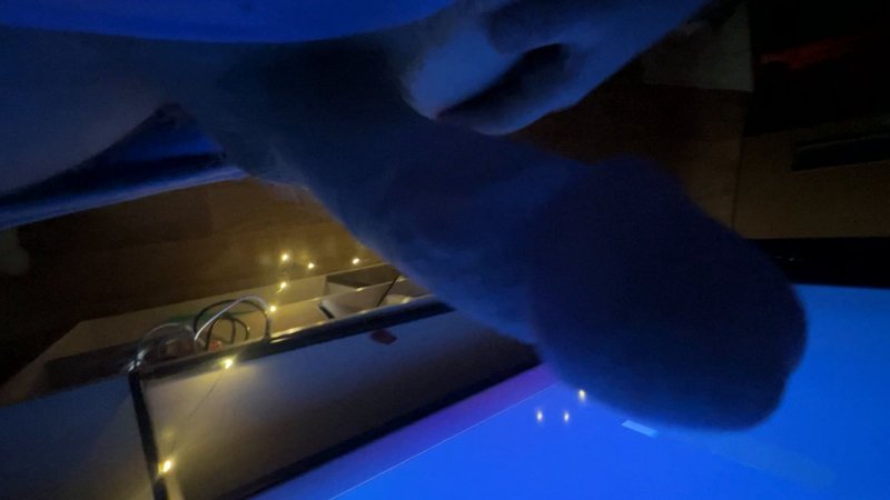 pee drinking adult search / Flowersunshine — exclusive adult video (8:27)