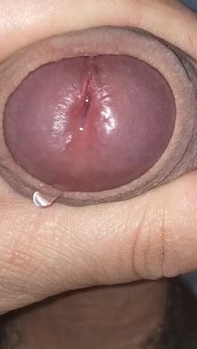 interracial wife impregnation story